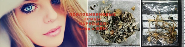 бошки Алексин